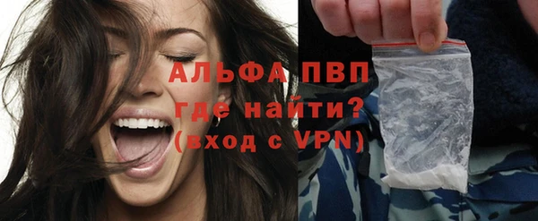 трава Коряжма