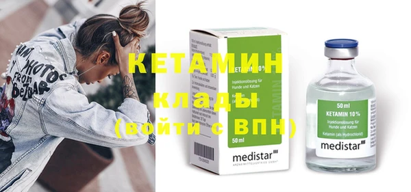 стаф Гатчина