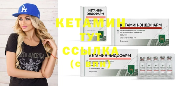 трава Коряжма