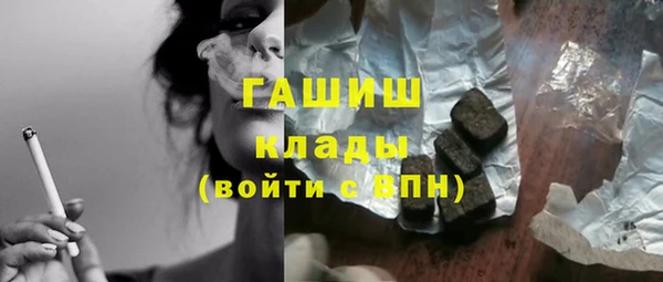 стаф Гатчина