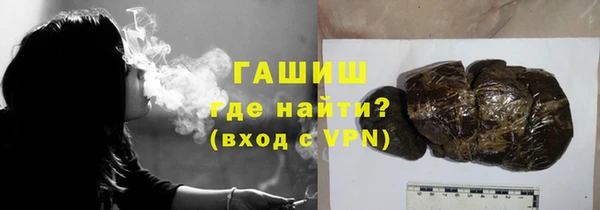 стаф Гатчина