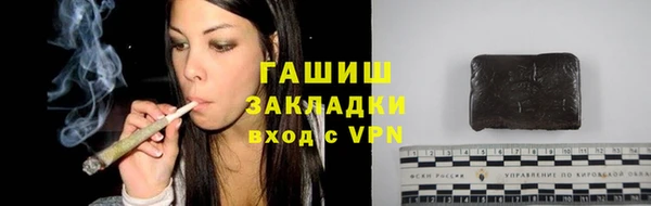 стаф Гатчина