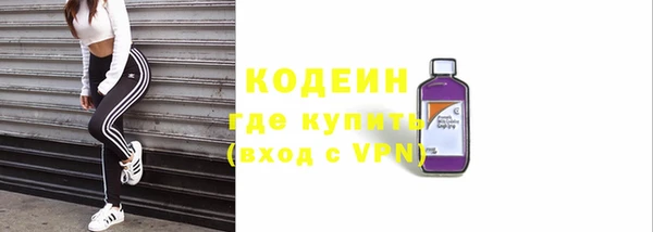 трава Коряжма