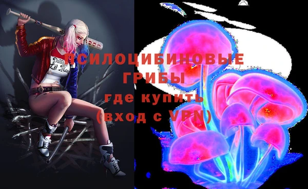 молекула духа Галич