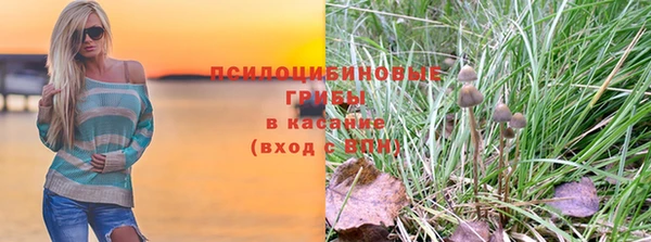 трава Коряжма