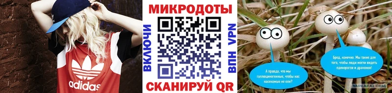 Псилоцибиновые грибы Magic Shrooms  Купить  Михайловка 